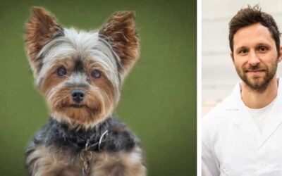Moj Yorkie se veliko praska. Preizkusil sem več izdelkov, priporočenih na internetu. Toda nobeden od njih ni pomagal. Prosim pomagajte mu.