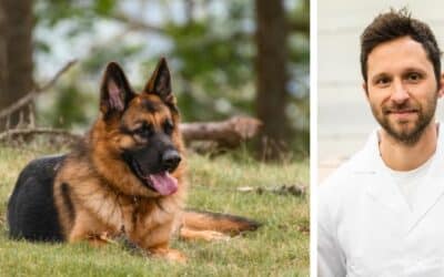 CriskyDog spletni časopis 18 Moj 12-letni nemški ovčar včasih poje svoje iztrebke takoj po iztrebljanju. Kaj naj naredim?