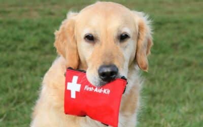 Domača Prva Pomoč: Priprava na Nujne Primere!