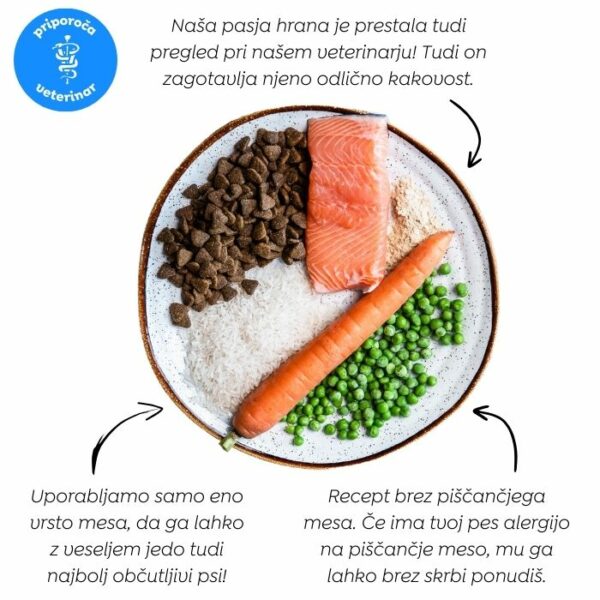 Juliet hipoalergena suha hrana za pse z lososom (premium formula brez pšeničnega glutena in piščančjega mesa) - Slika 4