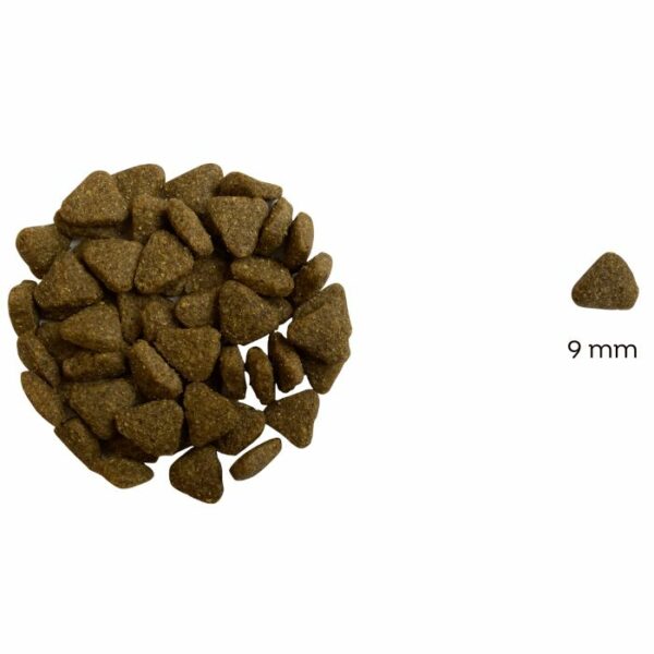 Juliet hipoalergena suha hrana za pse z lososom (premium formula brez pšeničnega glutena in piščančjega mesa) - Slika 2