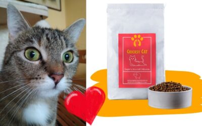 Jagnjetina za Prave Gurmane: Gryzkina Ocena