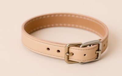 Ovratnica za mačke – Vse, kar moraš vedeti!