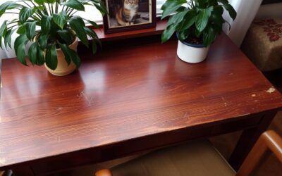 Zaščita pohištva pred mačkami – Vse, kar moraš vedeti!