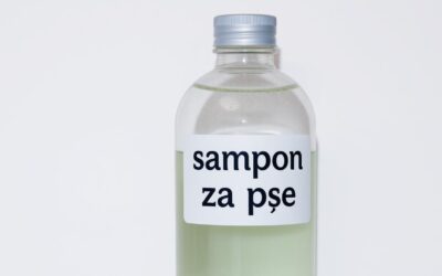 Šampon za pse – Vse, kar moraš vedeti!