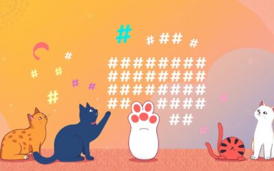 Hashtag strategije za mačke – Vse, kar moraš vedeti o tem!