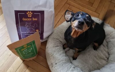 CriskyDog spletni časopis 20 Kaj sem dobil kot darilo pri naročilu CricksyDog hrane?