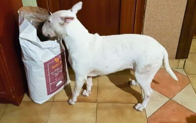 Twinky multivitamin + Mr. Easy preliv – skupen učinek
