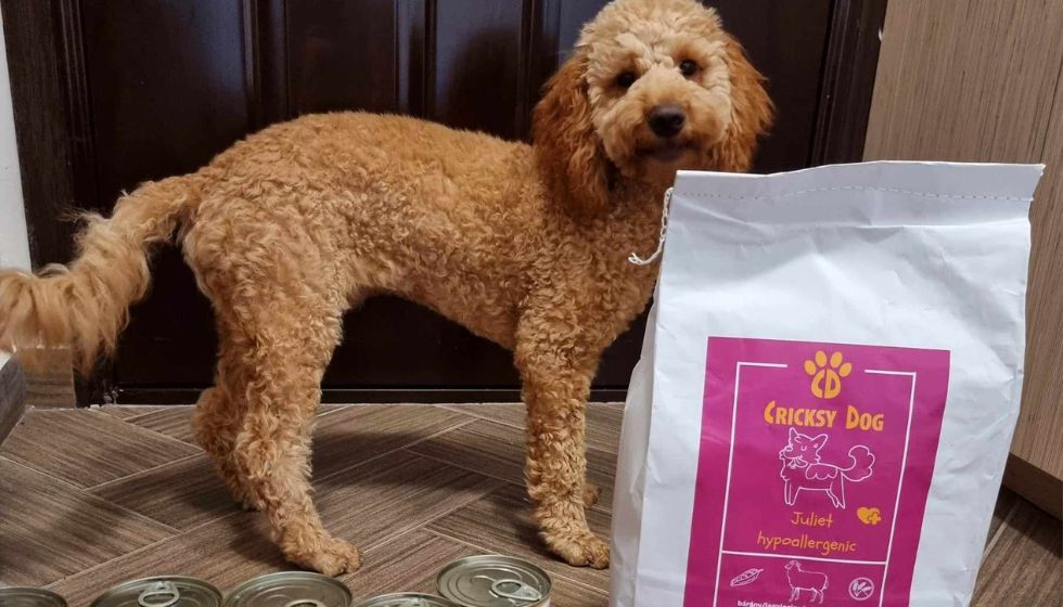 Juliet 1 kg pakiranje za majhne pse – na voljo za naročilo