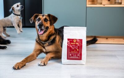 Katera CricksyDog hrana je po mnenju kupcev najboljša?
