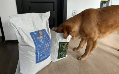 Twinky vitaminska kura – kdaj narediti premor?