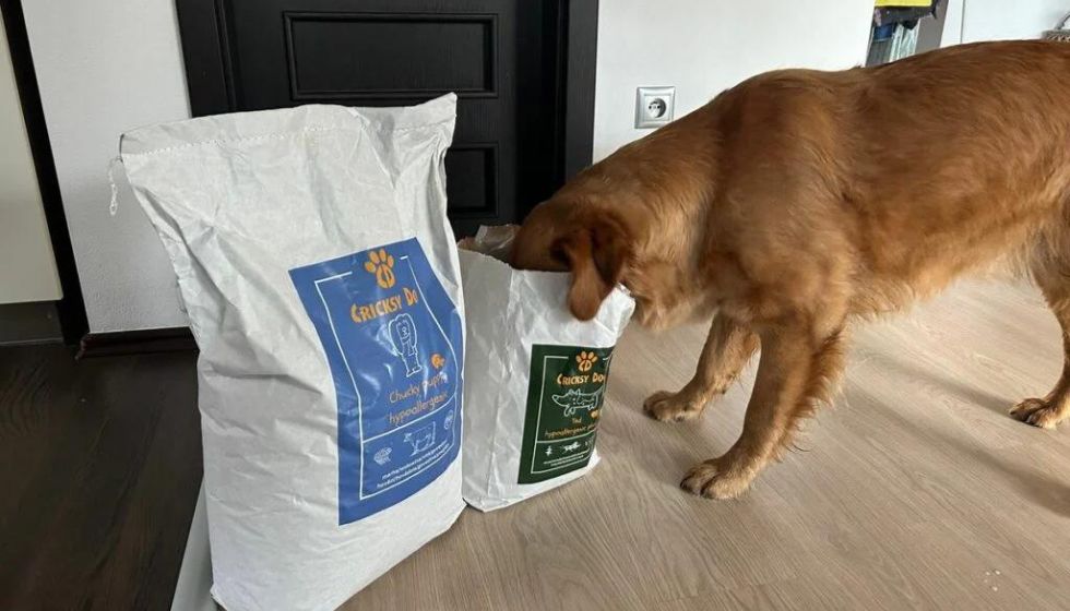 Twinky vitaminska kura – kdaj narediti premor?
