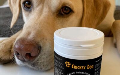 CricksyDog hrana z dostavo na dom – kako deluje