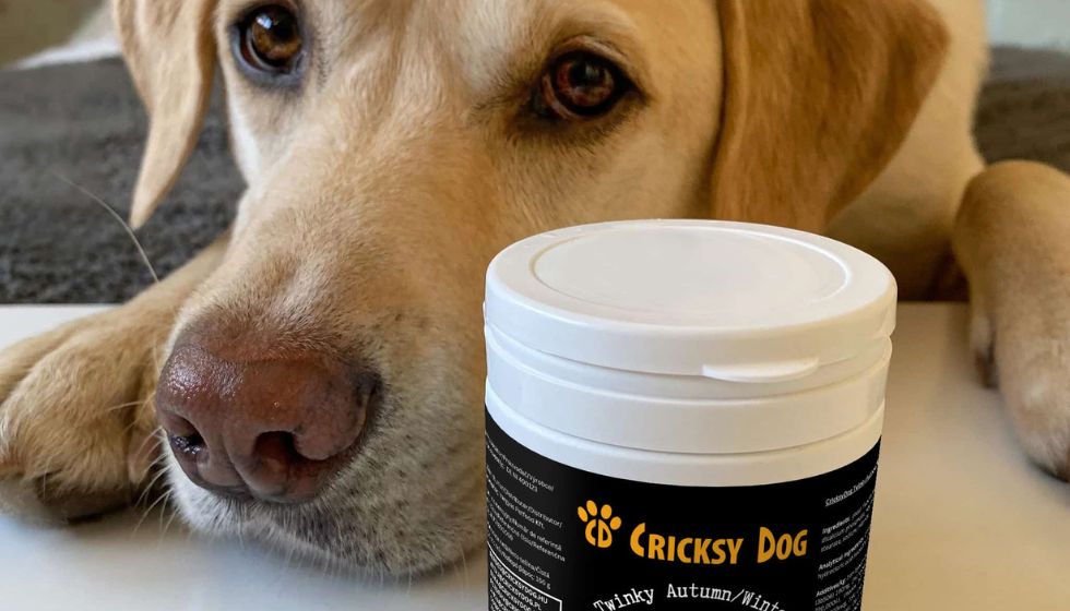 CricksyDog hrana z dostavo na dom – kako deluje