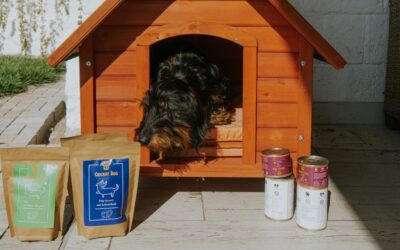 Deli svoje CricksyDog izkušnje – pomagaj drugim