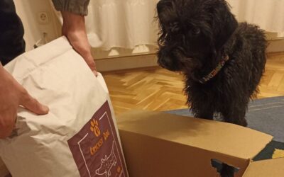 CriskyDog spletni časopis 18 Ocene kupcev o CricksyDog izdelkih za pse