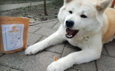 Povratne informacije o CricksyDog čistilih za pasje zobe