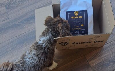 Izkušnje lastnikov s šamponom Twinky
