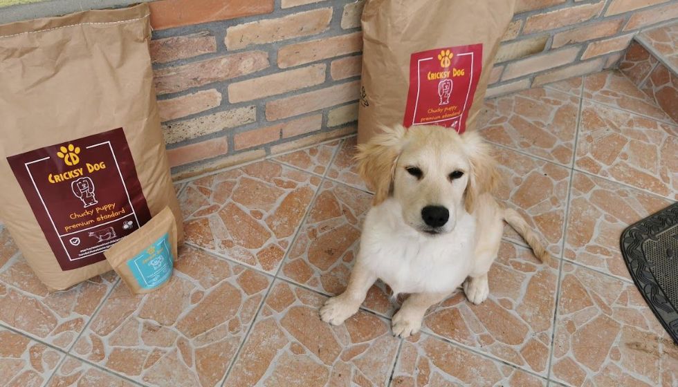 Juliet hipoalergena hrana in prenehanje srbenja – zgodba