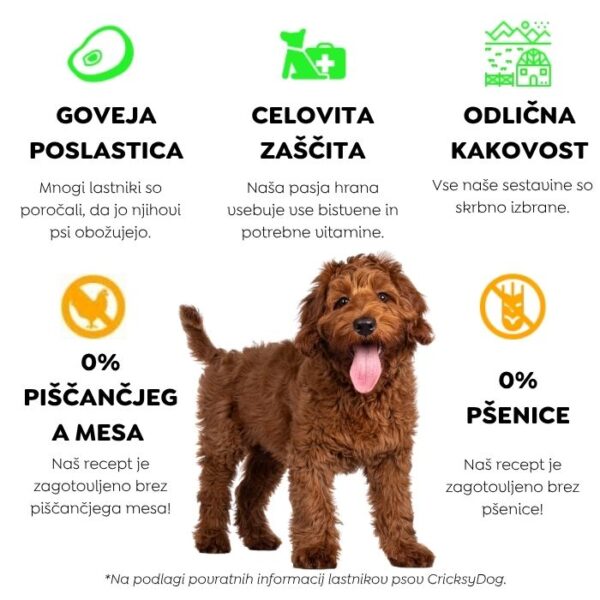 Ely hipoalergena mokra hrana za pse z govedino (premium formula brez pšeničnega glutena in piščančjega mesa) – 410 g - Slika 5