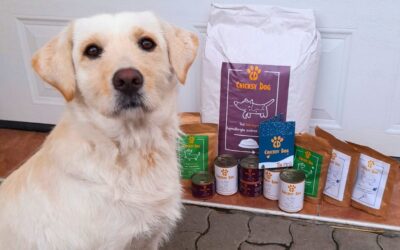 Twinky in Chloé izdelki med dopustom – na kaj biti pozoren?