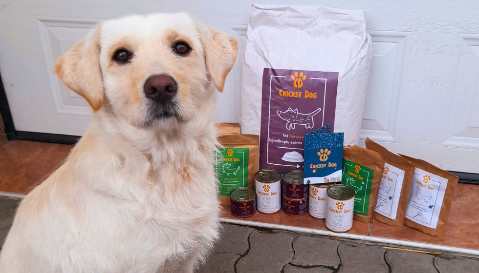 Twinky in Chloé izdelki med dopustom – na kaj biti pozoren?