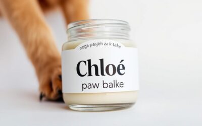 CriskyDog spletni časopis 24 Chloé balzam za tačke – kaj pravijo redne stranke?