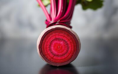 Mačji blog 19 Zakaj je pesa koristna v mačji hrani?