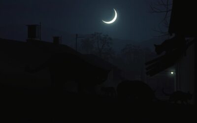 Mačji blog 16 Aktivna je samo ponoči – je to normalno?