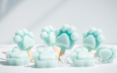 Mačji blog 22 Hladne nagrade – dobra ideja v vročini?