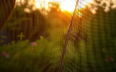 Mačji blog 24 Mreža proti komarjem za poletje – zakaj je pomembna?