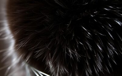 Naravna podpora dlaki: učinek cinka, biotina in vitamina E