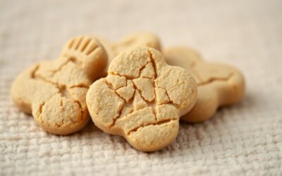 Mačji blog 16 Katera priboljška sta primerna za alergične mačke?