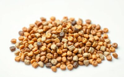 Primerjava hrane za majhne pse – cena, sestavine, velikost briketov