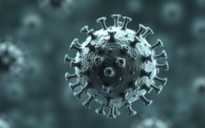 Mačji kalicivirus – Vse, kar moraš vedeti o tem!
