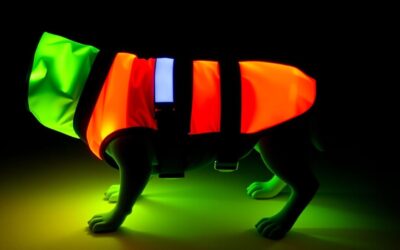 CriskyDog spletni časopis 21 Odsevni jopič za pse – Vse, kar moraš vedeti o tem!