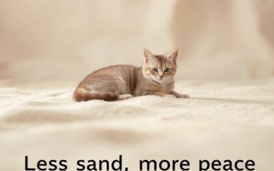 Manj peska – več miru