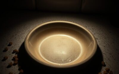 Posodica je vedno prazna