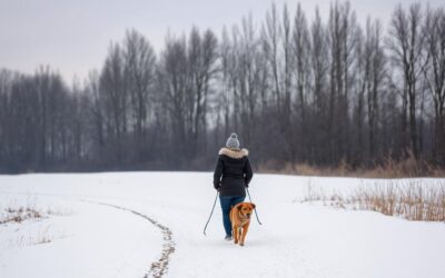 CriskyDog spletni časopis 21 Kako dolgo sprehajati psa pozimi?