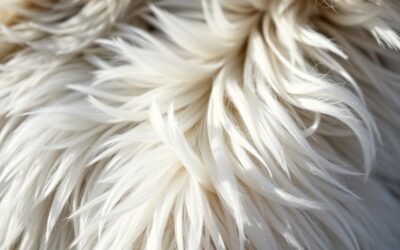 Kako se pozimi spremeni struktura pasje dlake?