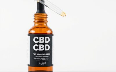 CBD olje za psa – Vse, kar moraš vedeti o tem!
