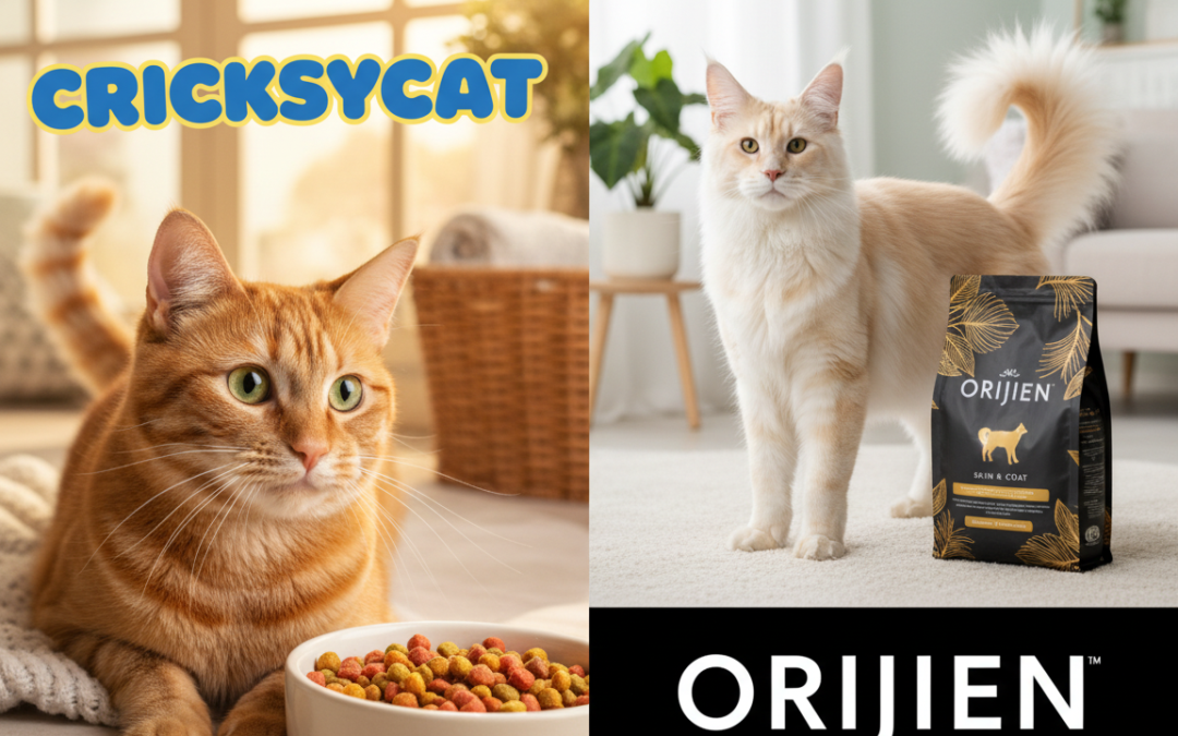 Za mačke s težavami z dlako: CricksyCat vs Orijen Skin & Coat