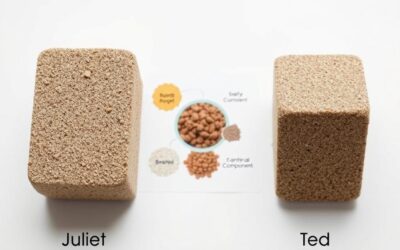 Juliet vs Ted: razlike v sestavi in velikosti briketov