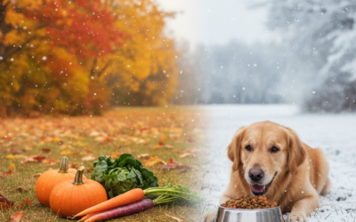 Potrebe psov po hranilih se lahko spreminjajo tudi glede na letni čas
