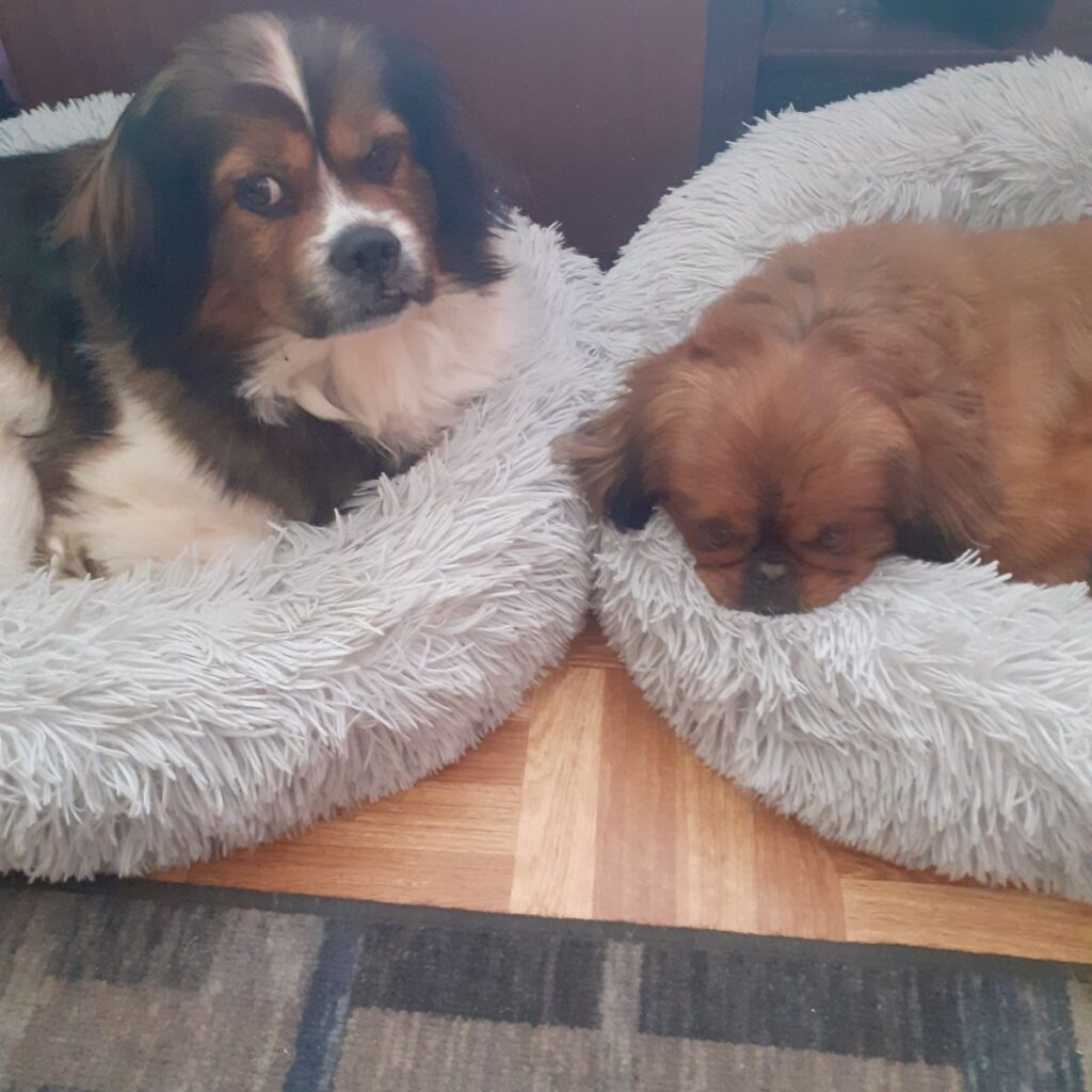 Slika #1 iz Marija Puntar