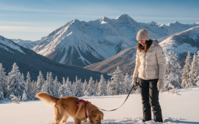 CriskyDog spletni časopis 23 V gore s psom pozimi? – Na kaj moraš biti pozoren