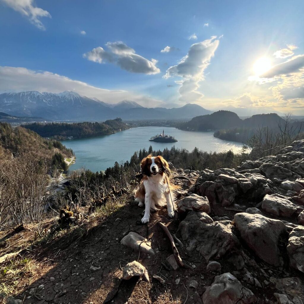 Slika #1 iz Mirjam Frelih