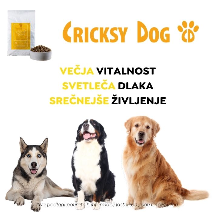 Ted hipoalergena zajčja suha hrana (premium formula brez pšeničnega glutena in piščančjega mesa) 8 Ted hipoalergena zajčja suha hrana (premium formula brez pšeničnega glutena in piščančjega mesa) - slika 8