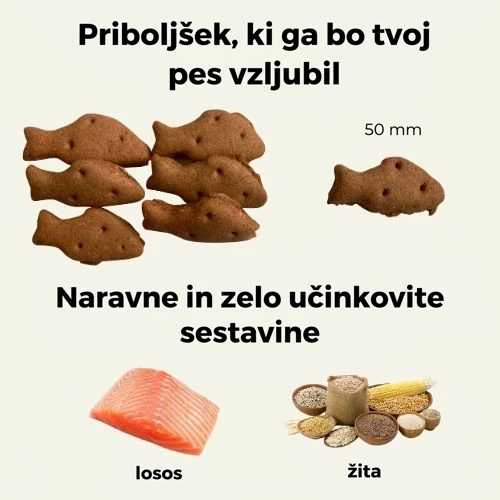 Friky hipoalergeni pasji piškoti z lososom - 200 g 2 Friky hipoalergeni pasji piškoti z lososom - 200 g - slika 2