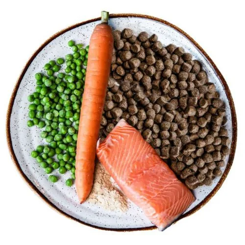 si 2025 09 CC JHL cat food